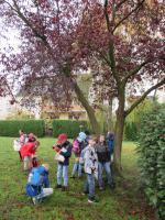 Wandertag der 3. Klassen